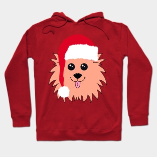 Christmas Dog Hoodie